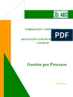 Gestion Por Procesos