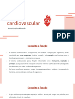 Sistema Cardiovascular