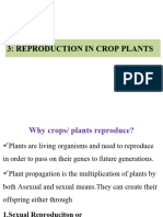 Reproduciton in Crops Plant 2023