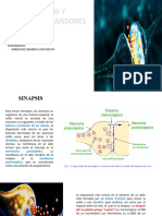 Sinapsis y Neurotransmisores