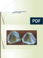 Eleccion y Montajes de Dientes en PPR