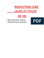 La Reproduction Chez Les Algues Et Cycles