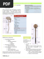 Generalidades Del Sistema Nervioso