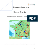 Rapport ICO-1