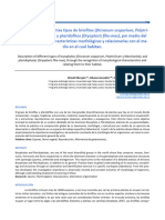 Informe Lab. Briofitas y Pteridofitas