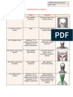 Examen de Musculos...