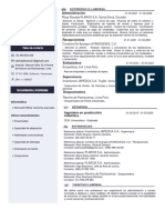 Curriculum Vitae en Resumen