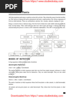 Nutrition in Plants