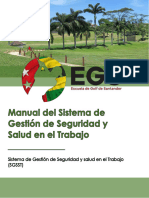 Manual Del Sistema de Gestion de SST