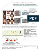 Activité Enzymes Secondes 2024 2