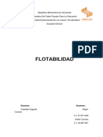 Flotabilidad