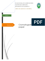 Práctica 7 - Cromatografía en Papel