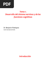 Tema 1. Desarrollo Del Sistema Nervioso y de Las Funciones Cognitivas