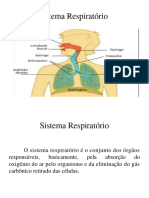 AULA - Sistema Respiratório PDF