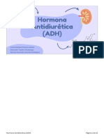 Hormona Antidiuretica (ADH)