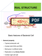 1.3 - Bacterial Cell Structure-Morphology