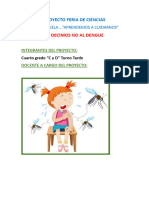 Proyecto Feria de Ciencias Dengue