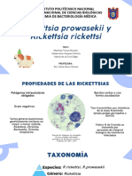 Rickettsia Prowasekii y Rickettsia Rickettsi