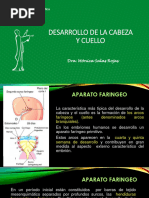 1.2. Desarrollo Del Aparato Faringeo y Desarrollo de La Lengua