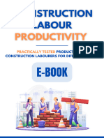 Construction Labour Productivity E-Book