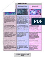 5 DIFERENCIAS-Palomino Izaguirre Tatiana Melissa