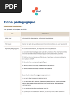 Fiche Pedagogique Les Grands Principes en SSPI