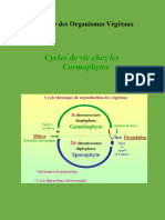 Cycle Cormophytes