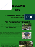 Surveillance Tips