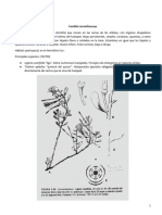 Copia de LIBRO Clase 10 - Santalales A Polygonales