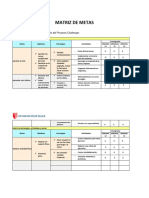 Matriz de Metas 13 en Blanco