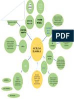 Mapa Mental Disciplinas Filosoficas