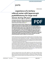 The Experience of A Tertiary Referral Center With Laparoscopic Pyelolithotomy For Large Renal Stones During 18 Years