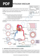 1 Patologia Vascular