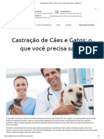 Castração de Cães e Gatos - o Que Você Precisa Saber - Digitalvet