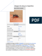 Epidemia de Dengue de 2024 en Argentina 2