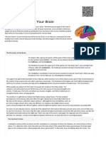 Brain Basics - Know Your Brain - National Institute of Neurological Disorders and Stroke