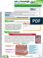 B-4º Act 2-Cyt-Und 5 - Sem 2