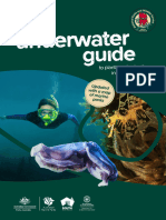 Underwater Guide Plants Animals