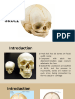 Fetal Skull