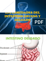 Enfermedades Del Intestino Grueso y Delgado