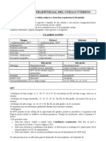 24 Neoplasia Intraepitelial Del Cuello Uterino