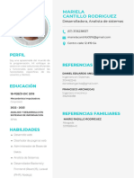 Curriculum Vitae Hoja de Vida CV Minimalista Azul y Gris