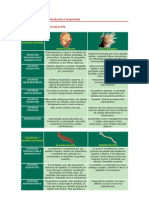 Tabela de Biologia - Anatomia Comparada