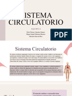 Sistema Circulatorio Equipo 6 20240418 232500 0000