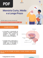 Palestra - Formação de Memória