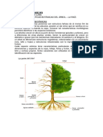 Silvicultura - Clase Nº6 - 031547