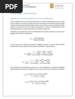 Turbina de Gas y Ciclo Combinado