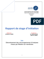 Rapport