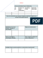 Relatório Ensino Colaborativo