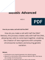 Meiosis-Advanced 20240304 125003 0000